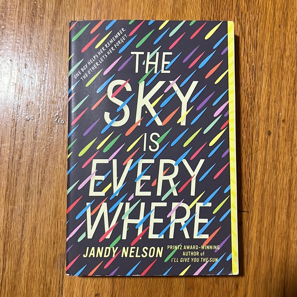 The Sky is Everywhere Book
